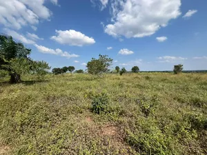 Exceptional Opportunity 140 Acres Industrial Plot in Mkuranga*