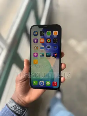 Apple iPhone 12 Pro Max 256 GB Blue