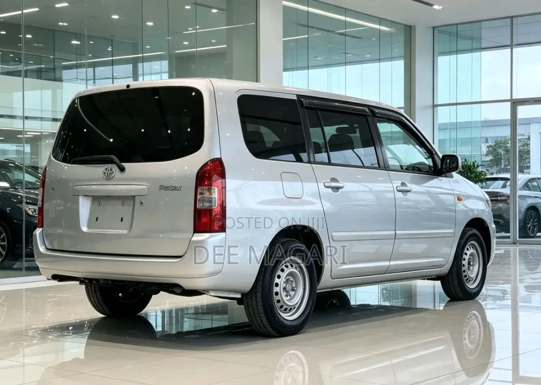 Toyota Probox 2004 Silver