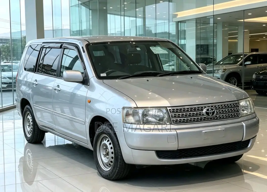 Toyota Probox 2004 Silver