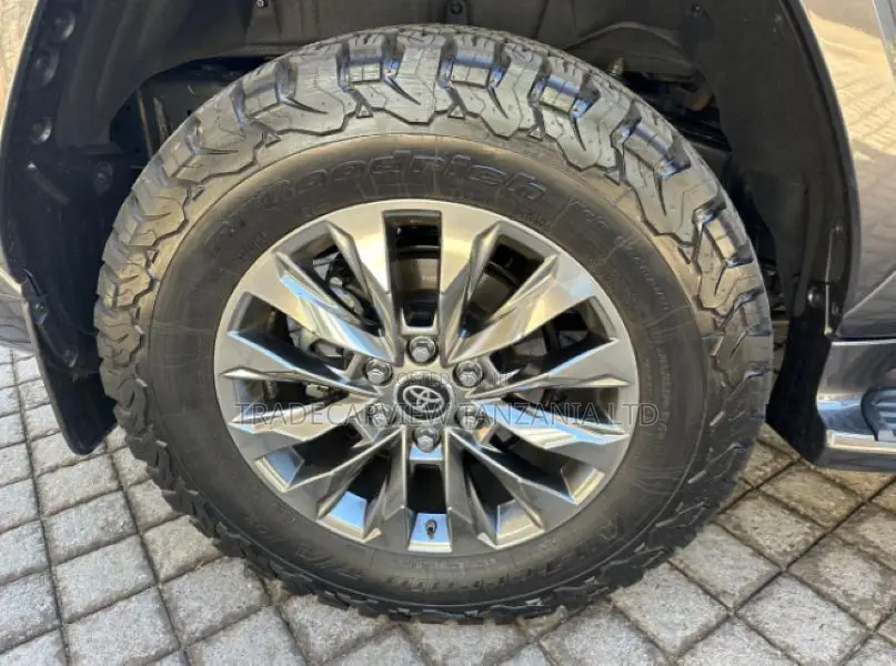 Toyota Land Cruiser 2024 Gray