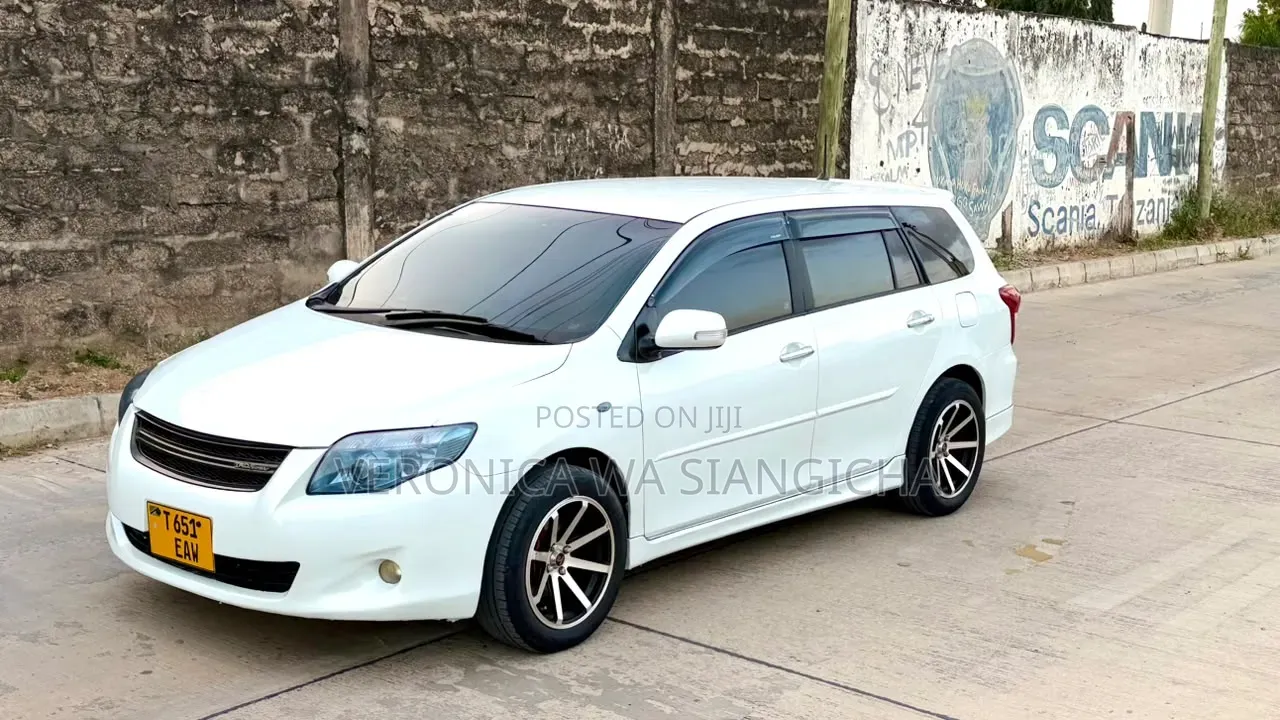 Toyota Corolla Fielder 2010 White