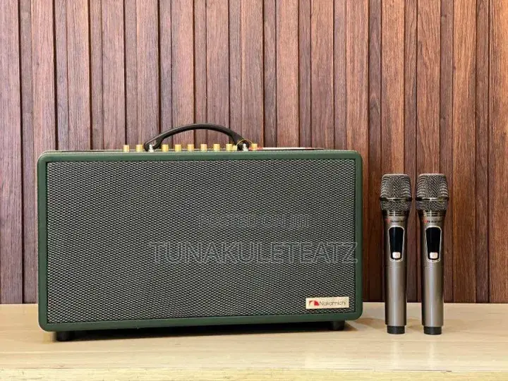 Nakamichi Echo 802 Portable Karaoke Speaker