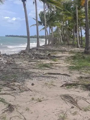 Beach Plort Inauzwa Tanga