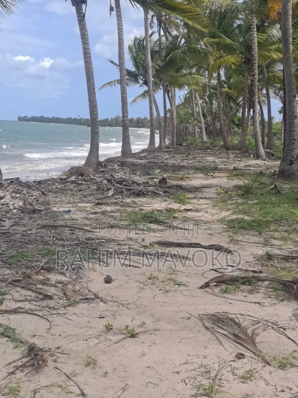 Beach Plort Inauzwa Tanga