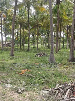 Beach Plort Inauzwa Tanga
