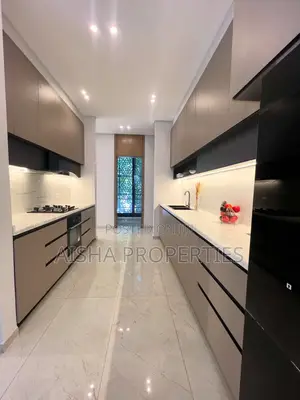 Furnished 3bdrm Apartment in Masaki for rent