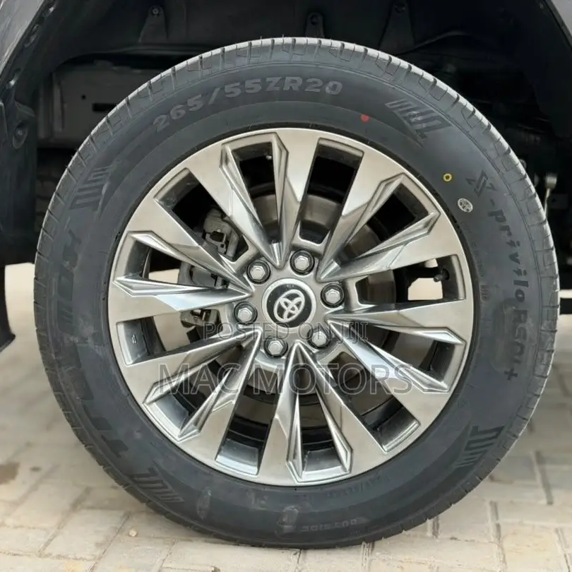 Toyota Land Cruiser LC300 2024 Gray