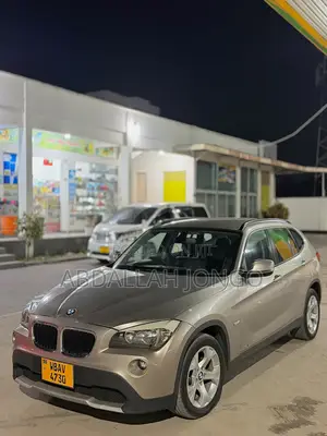 BMW X1 2012 Gold