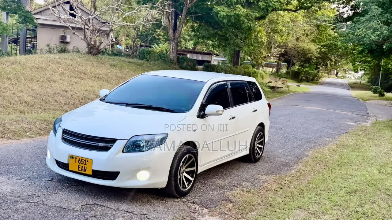 Toyota Corolla Fielder 2010 White