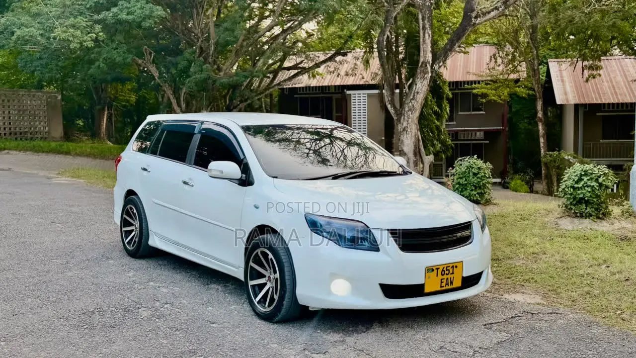 Toyota Corolla Fielder 2010 White