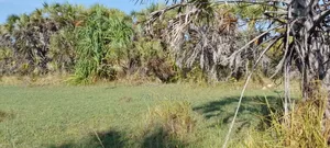 Beach Plot Pangani Town Tanga for Sale.
