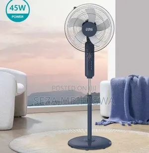 *Standing Fan