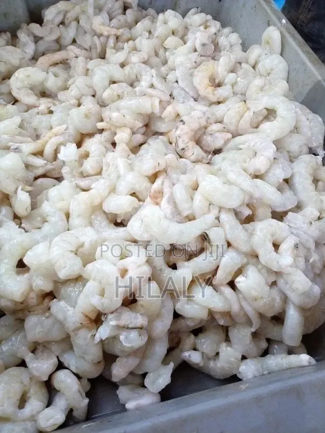 Samaki Aina Ya Prawns/Kamba Waliomenywa Wanauzwa Kwa Bei Rafiki Sana