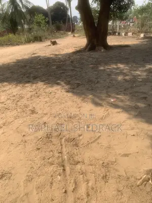 Eneo Linauzwa Karibia Na Barabara Kuu Kibaha