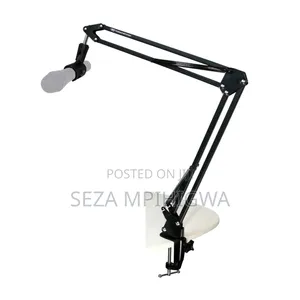 *Mic Handle