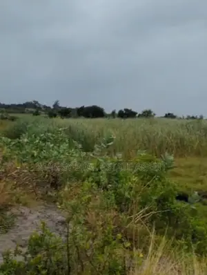Plots Near Beach for Sale, Mapinga Bagamoyo