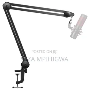 *Mic Handle