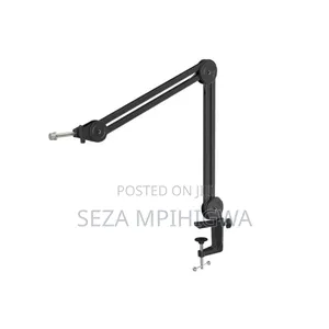 *Mic Handle