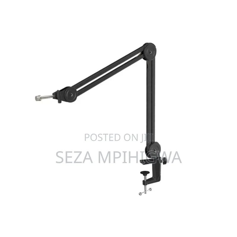 *Mic Handle