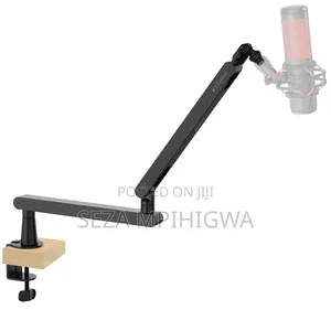 *Mic Handle