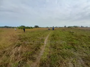 Kiwanja Kinauzwa Kikigamboni Cheka