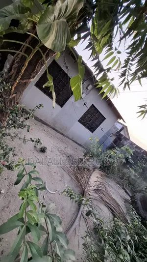 2bdrm Bungalow in Sinza Legho for rent