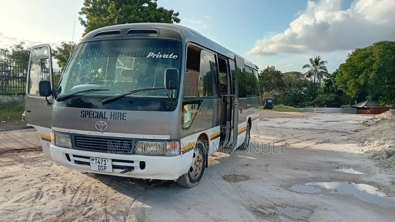 Toyota Coaster 2005 Brown