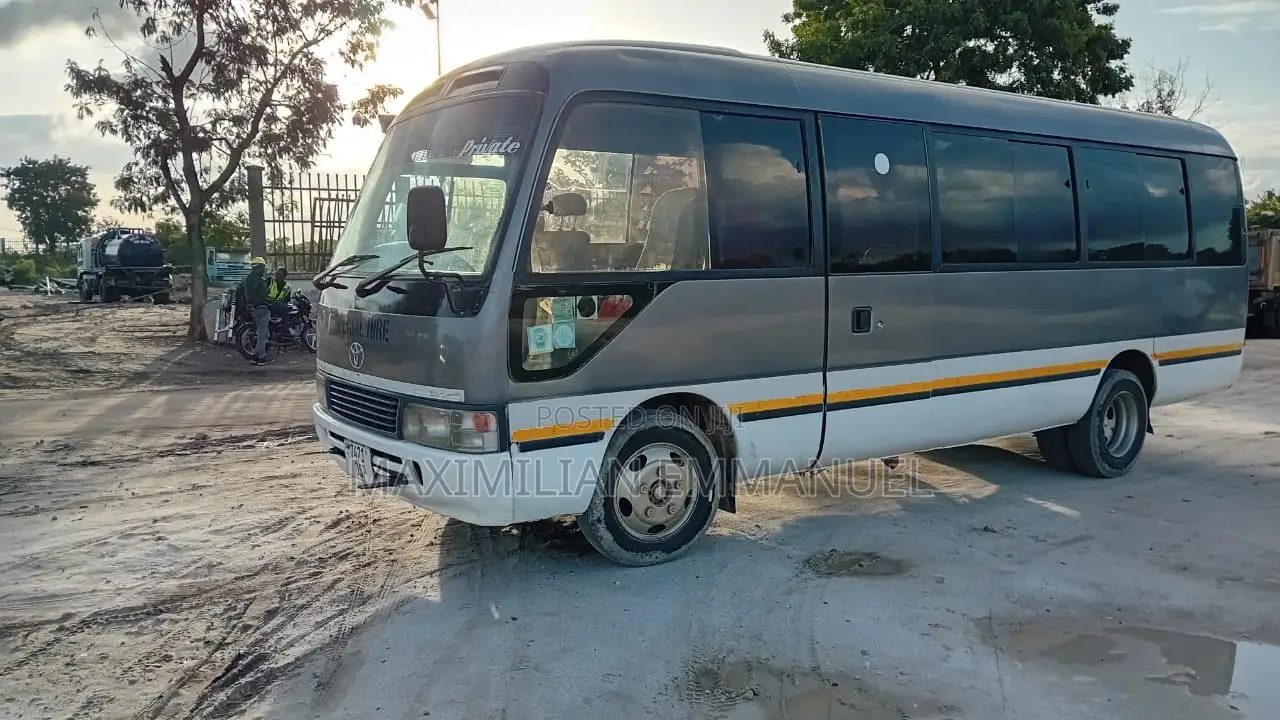 Toyota Coaster 2005 Brown