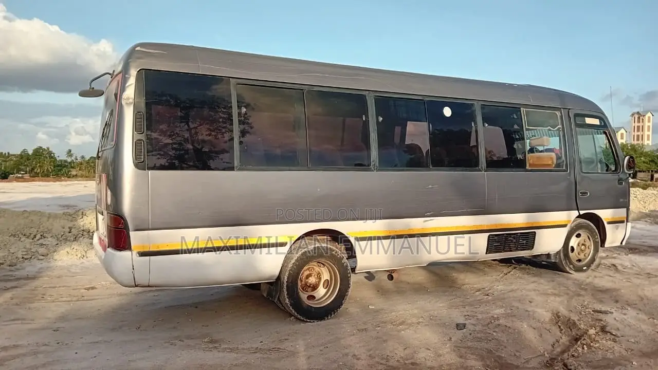 Toyota Coaster 2005 Brown