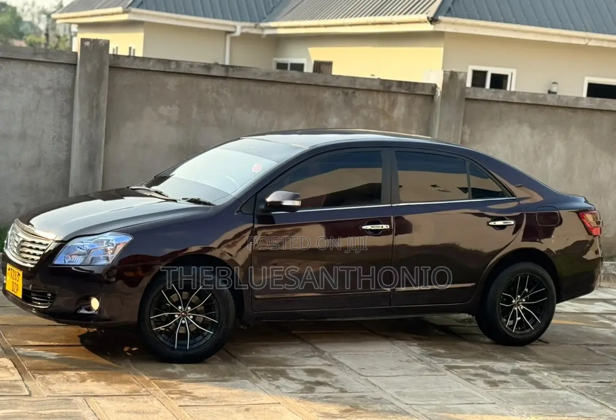 Toyota Premio 2011 Maroon