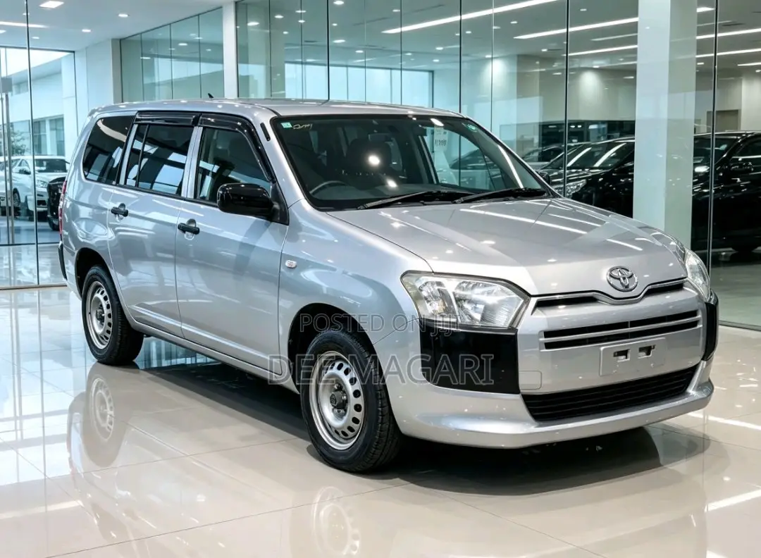 Toyota Probox 2015 Silver