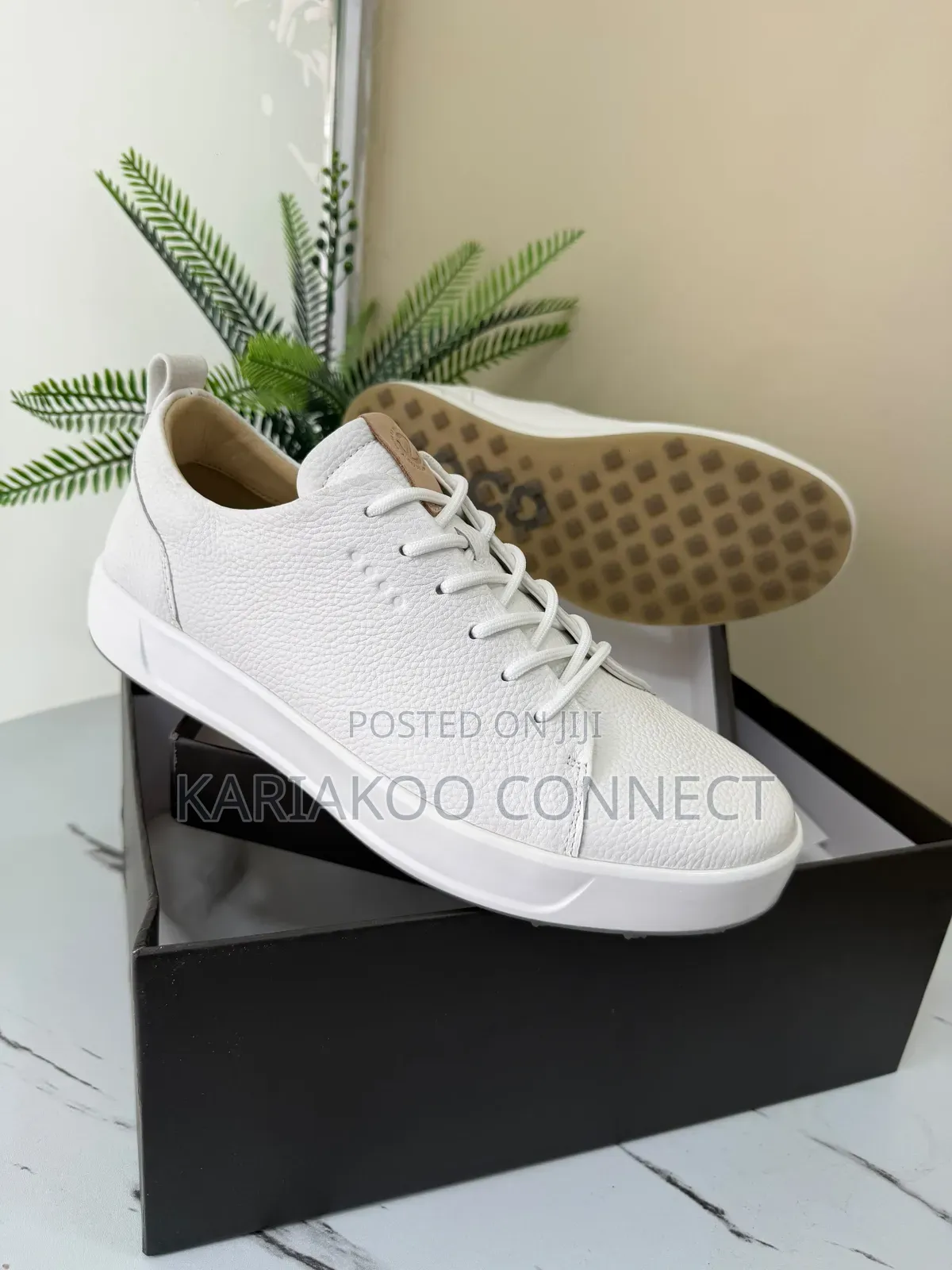 EDCD White Shoes