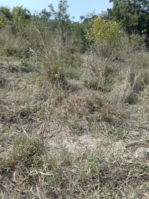 Kiwanja Kinauzwa Bei Nzuri Sana