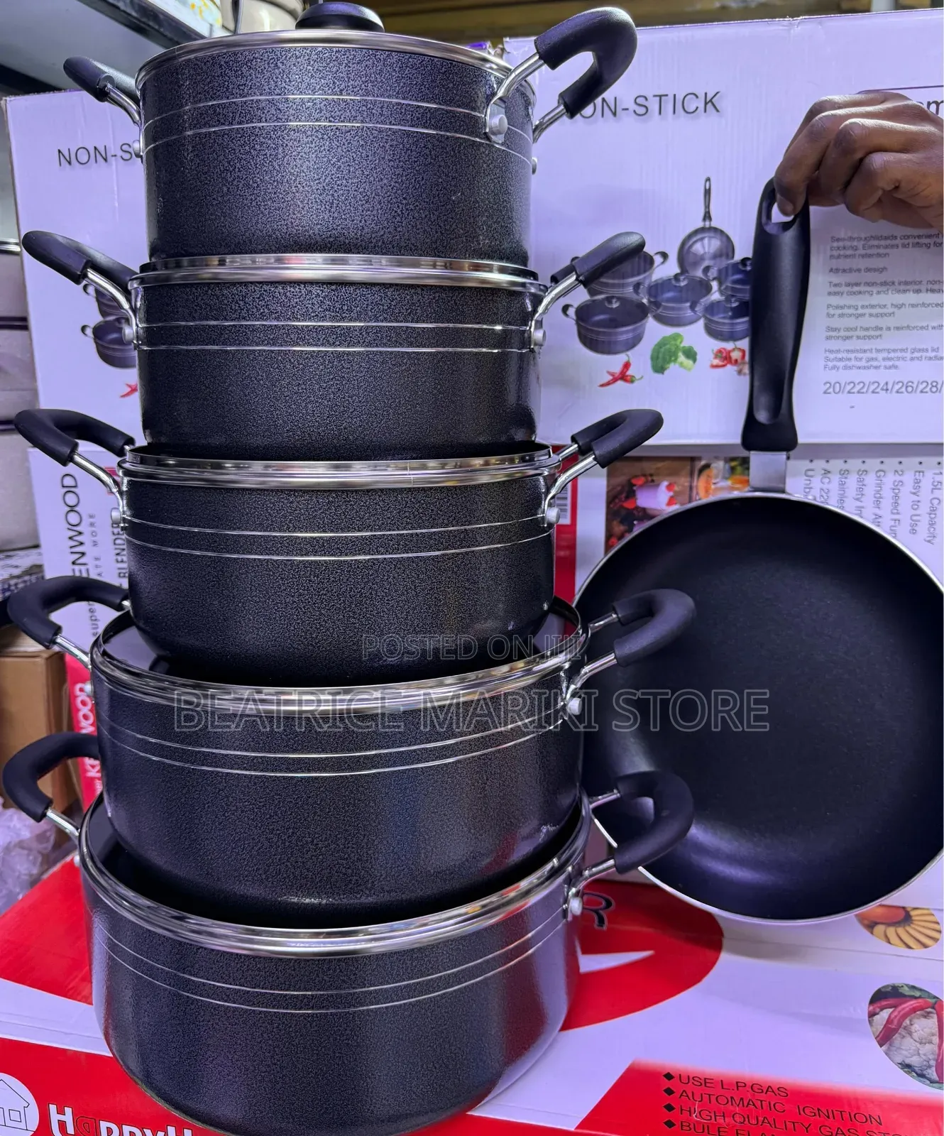 Non Stick Pot With Pan