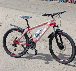 Mountain Bike Size 24 -26