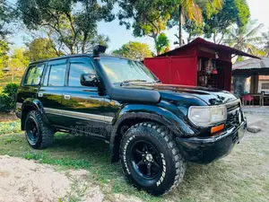 Toyota Land Cruiser 1992 Black