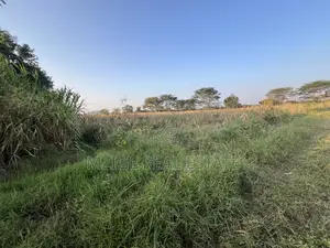 7 Acres for Sale in Kisongo, Arusha