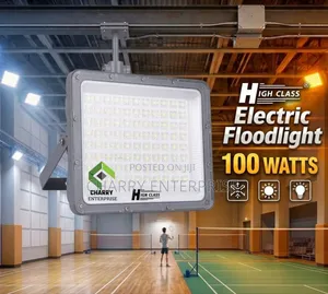 High Class ELECTRIC FloodLIGHT 100W For Industrial, Garden, Yards Etc