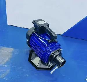 Basoo Electric Vibrator 2.2kw