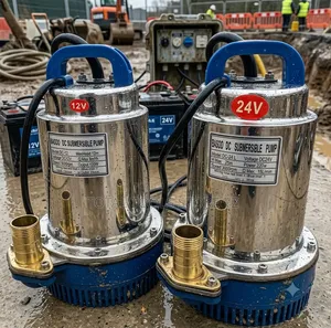 Basoo Sewage Pump 12V 120W