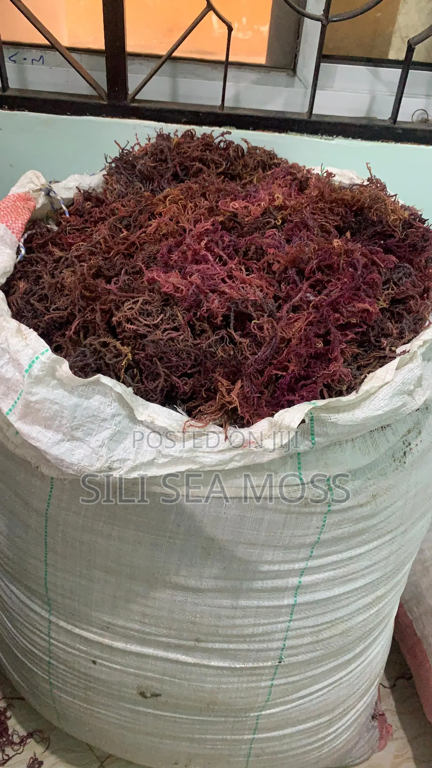 Sea Moss Powder