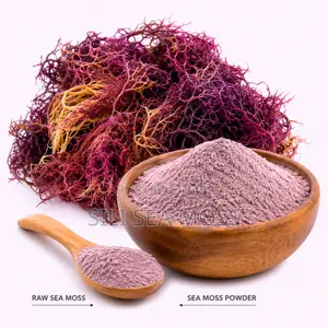 Sea Moss Powder