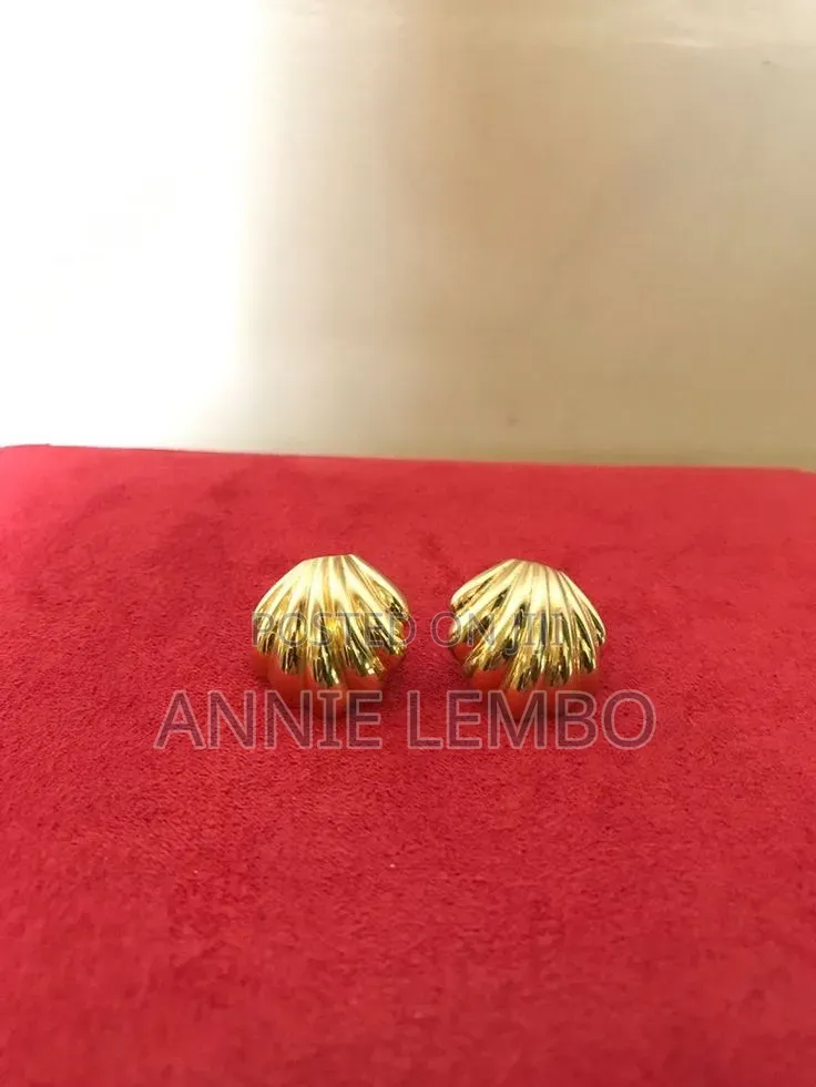 Earrings Jewelry