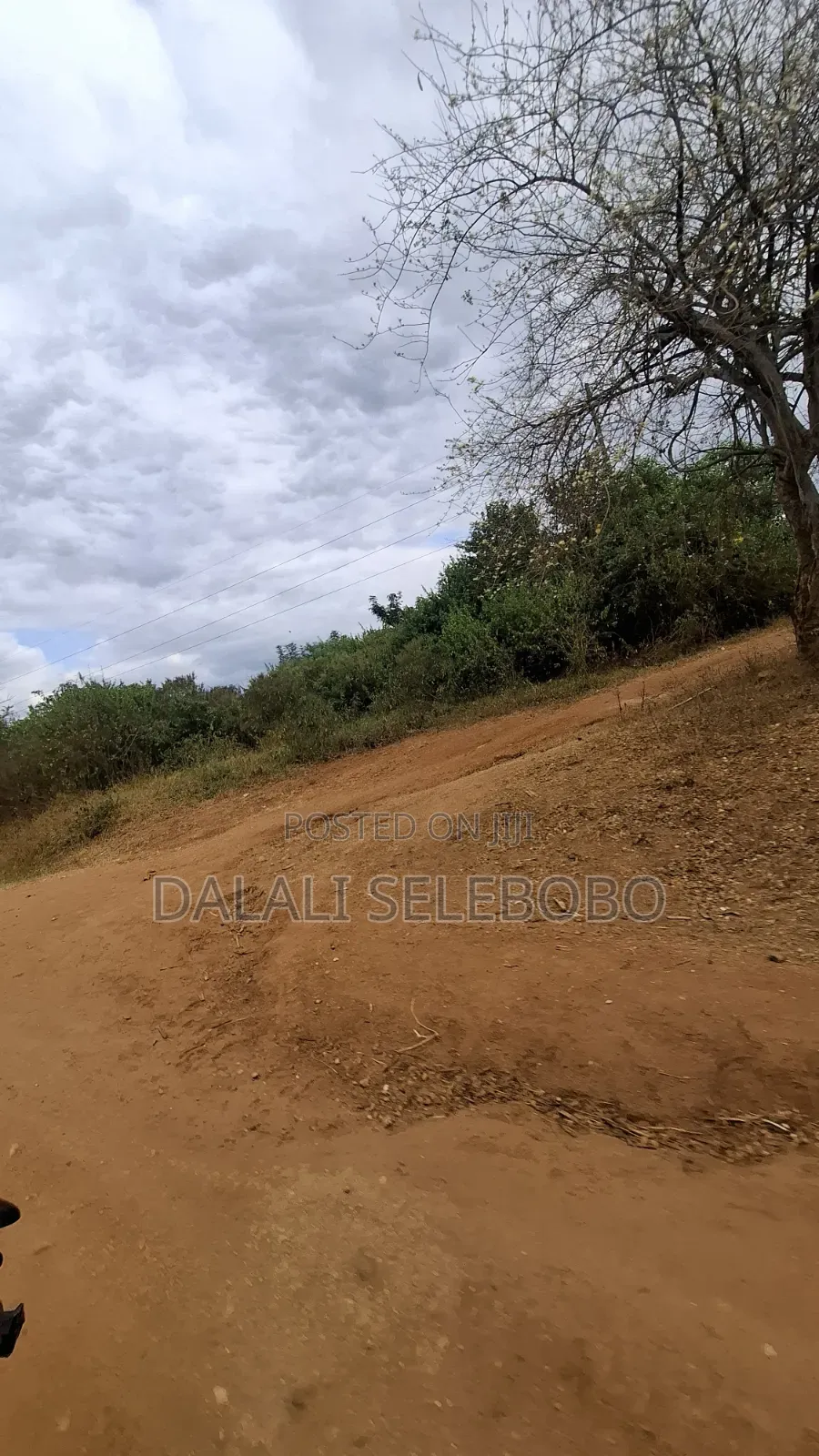49 Hector at Mbwewe 