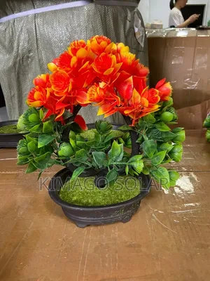 Pambo La Maua Rangi Ya Moto (Orange/Red) La Mezani