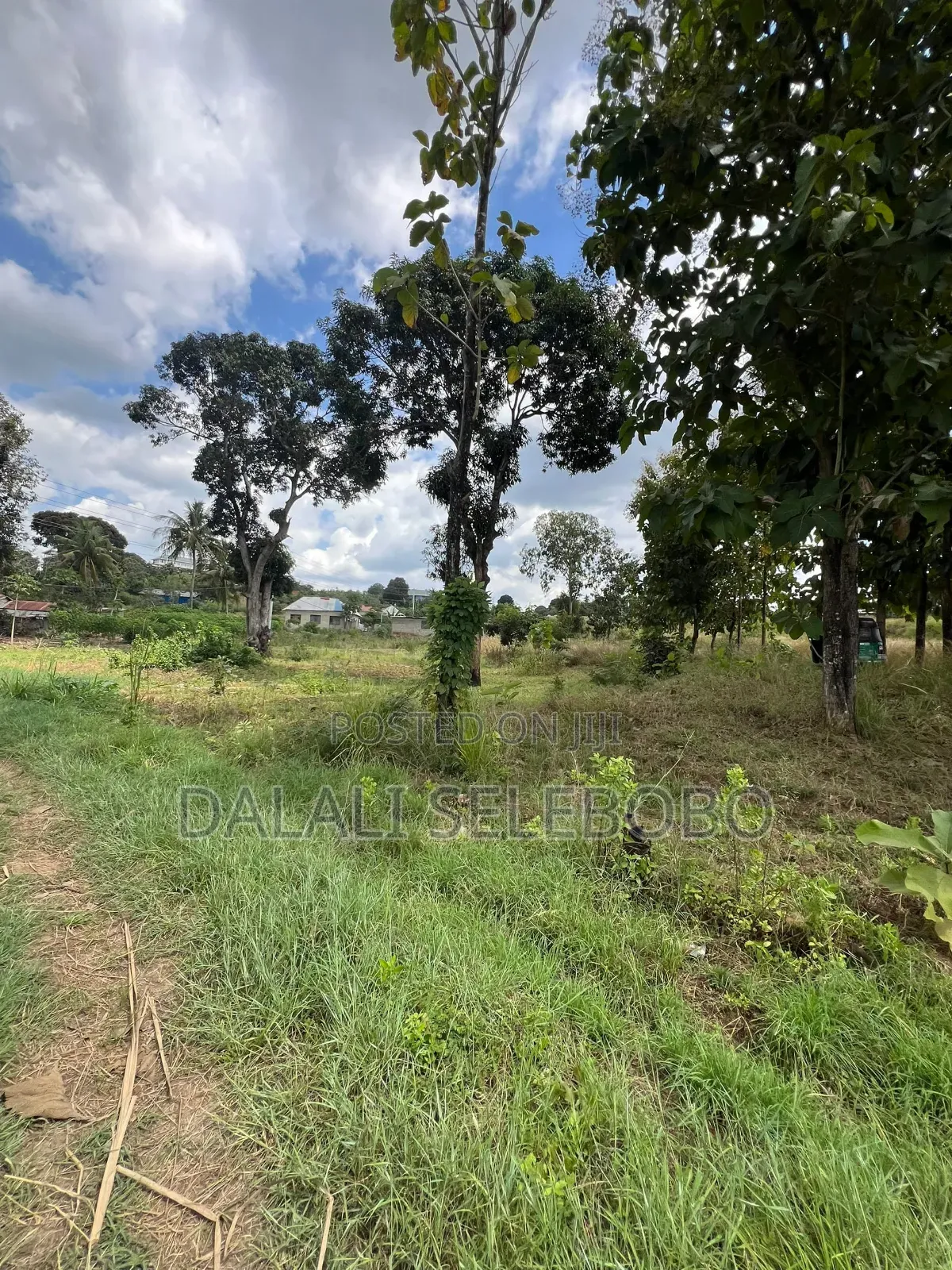 5hector at Bagamoyo Mapinga Investment Area