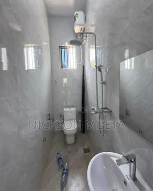 3bdrm House in Dalali Nick Mwanza for rent