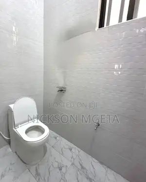 3bdrm Apartment in Dalali Nick Mwanza for rent