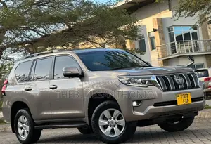 Toyota Land Cruiser Prado 2020 Gray